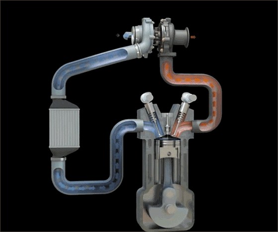 微信圖片_20190309082304